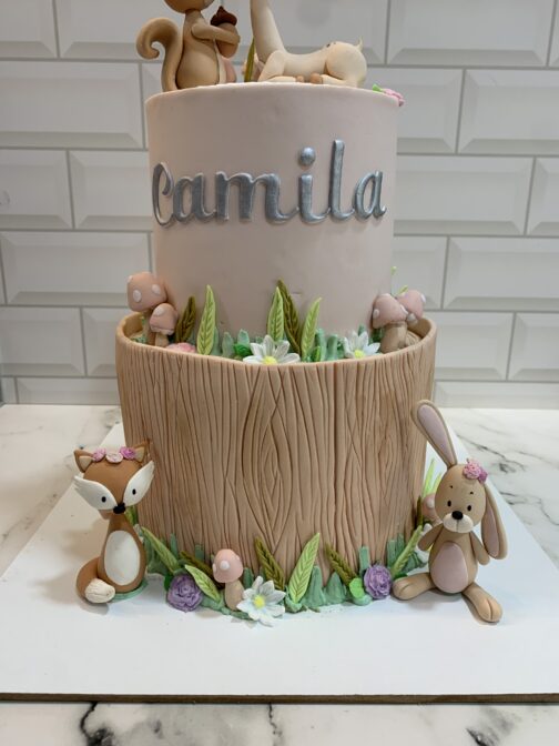Tortas infantiles - Imagen 12